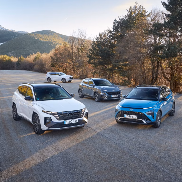 Leasing operațional Hyundai i30 pentru firme cu AgileFleet